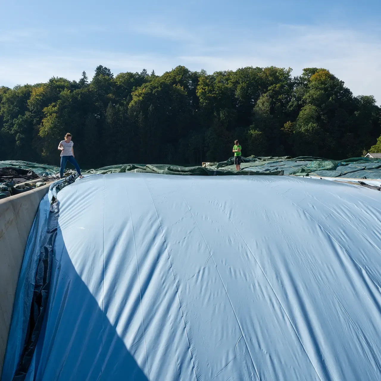 Silofolie BÖCK COMBI² ARCTIC 110µm hellblau/schwarz + OCEAN 40µ hellblau