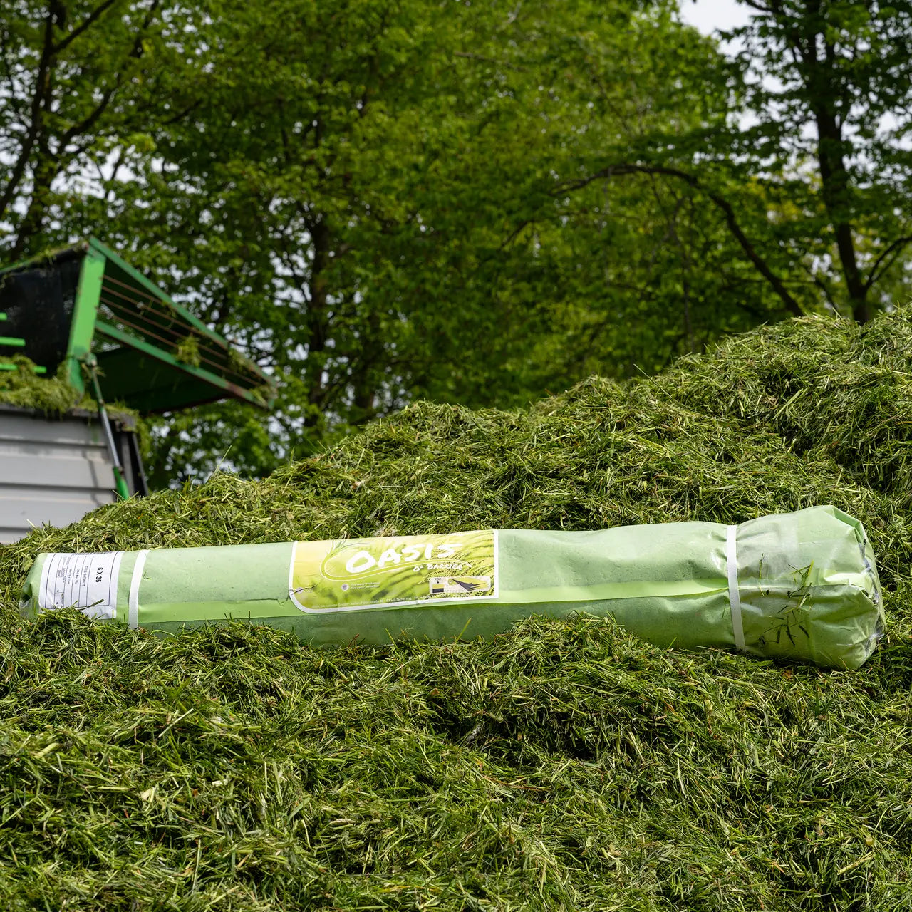 eine-rolle-boeck-oasis-auf-gras